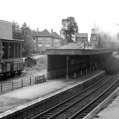 Muswell Hill Cars